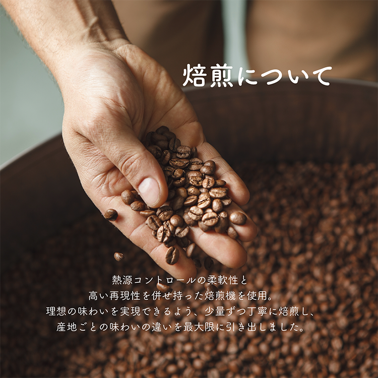 【1kg/3kg・深煎り】業務用・ペルー カハマルカ