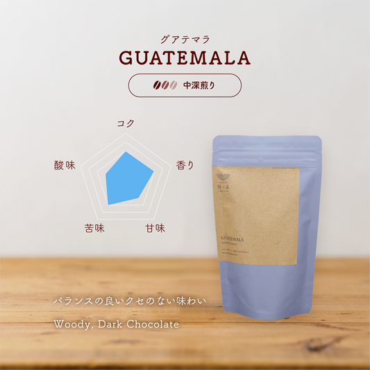 【100g/200g・中深煎り】グァテマラ ウエウエテナンゴ
